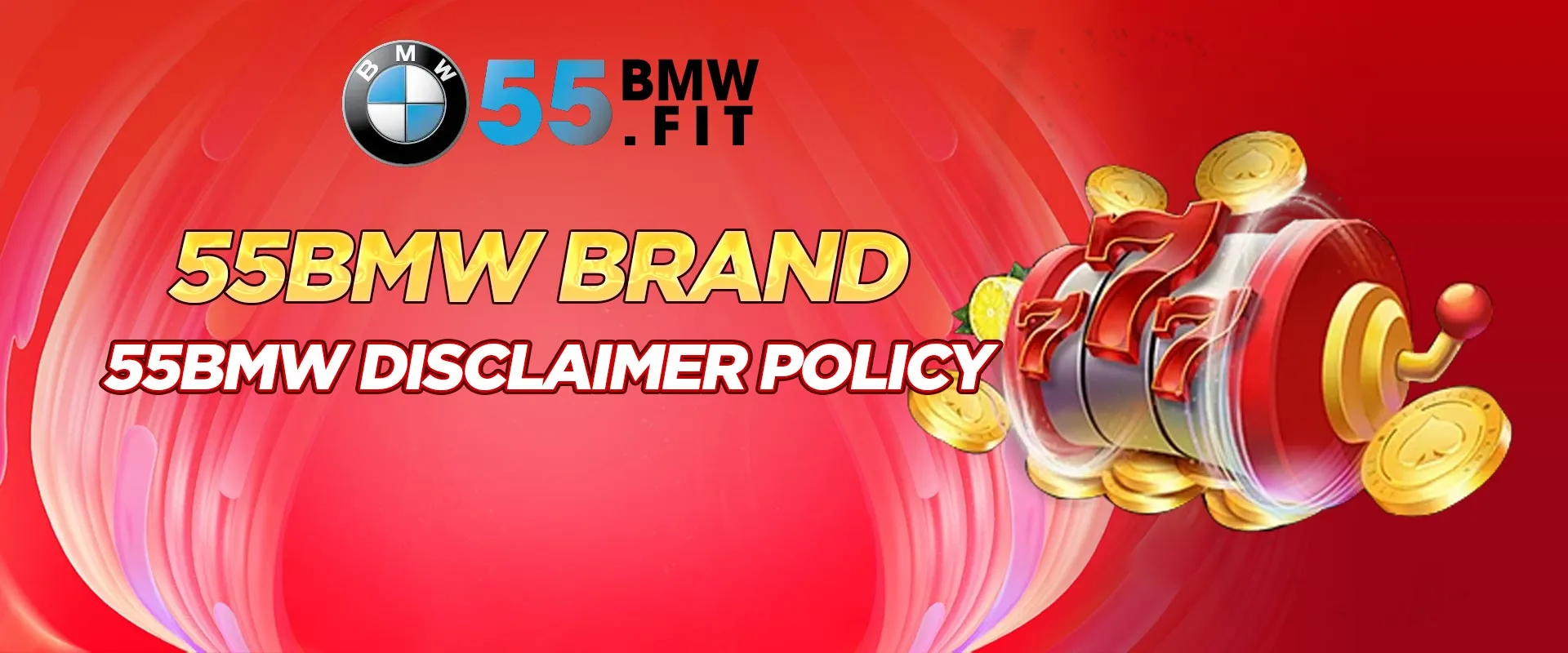 55BMW disclaimer policy