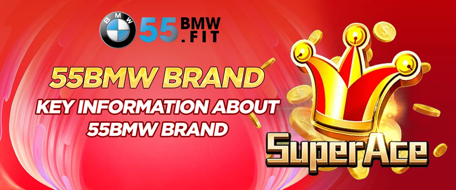 Key information about 55BMW brand