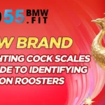 Premium Fighting Cock Scales
